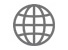 icono web